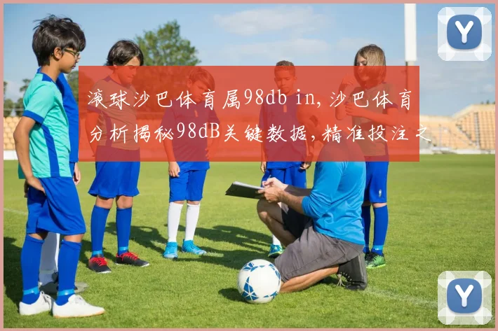 滚球沙巴体育属98db in,沙巴体育分析揭秘98dB关键数据,精准投注之道